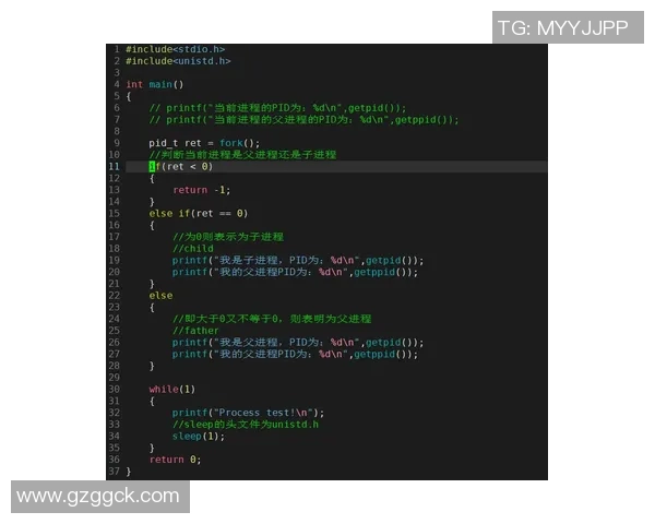 比赛进程状态全景分析与实时动态追踪系统的构建与应用探讨