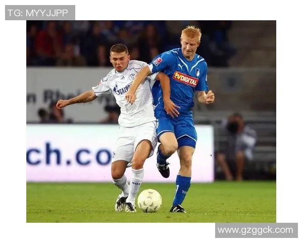 巅峰之路：德甲王者的光荣历程